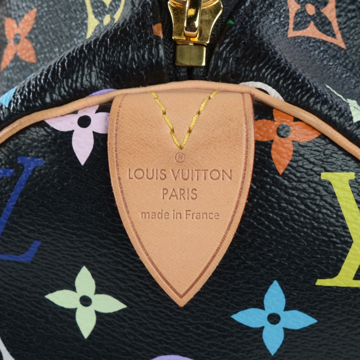 Monogram Multicolor Speedy 30 Black