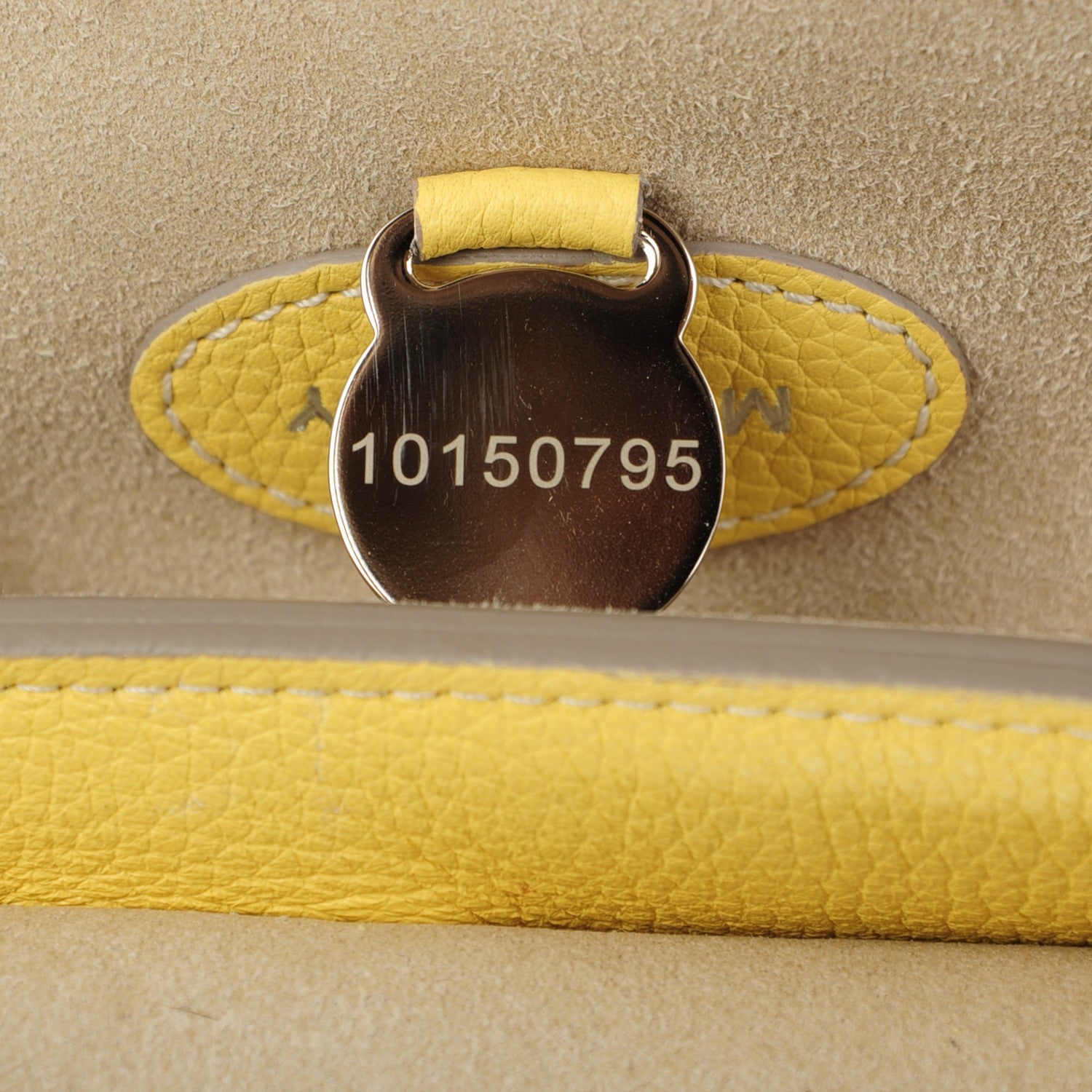 Mulberry Small Classic Grain Bayswater Camomile 8 of 8