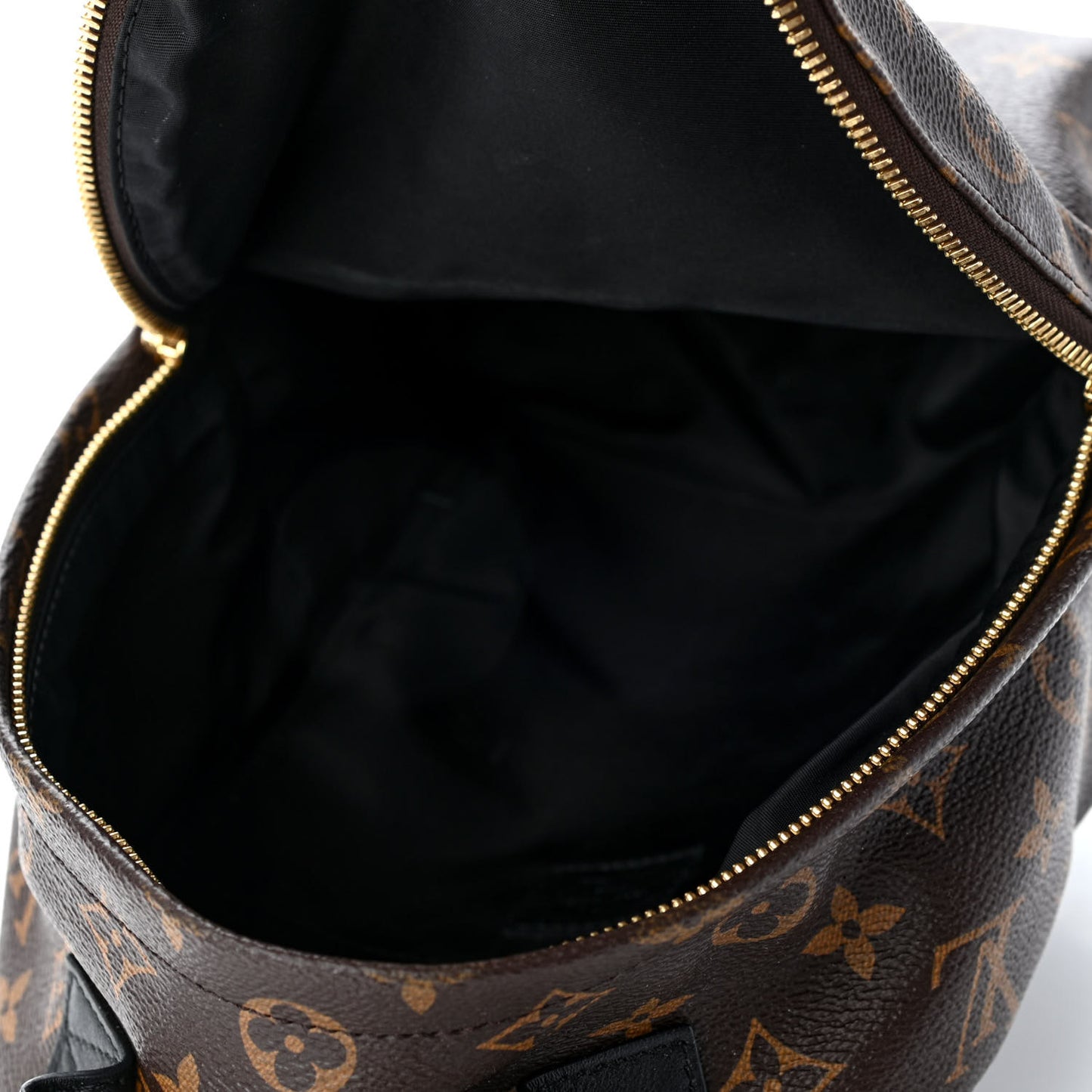 Monogram Palm Springs Backpack PM