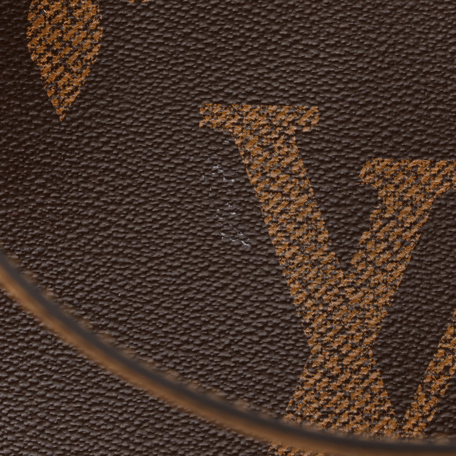 Louis Vuitton Reverse Monogram Giant Onthego GM 12 of 12
