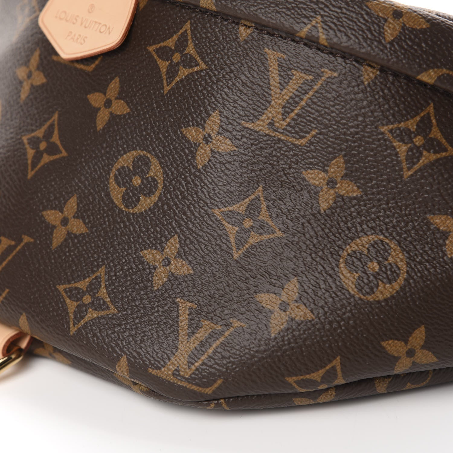 Louis Vuitton Monogram Bumbag 7 of 10