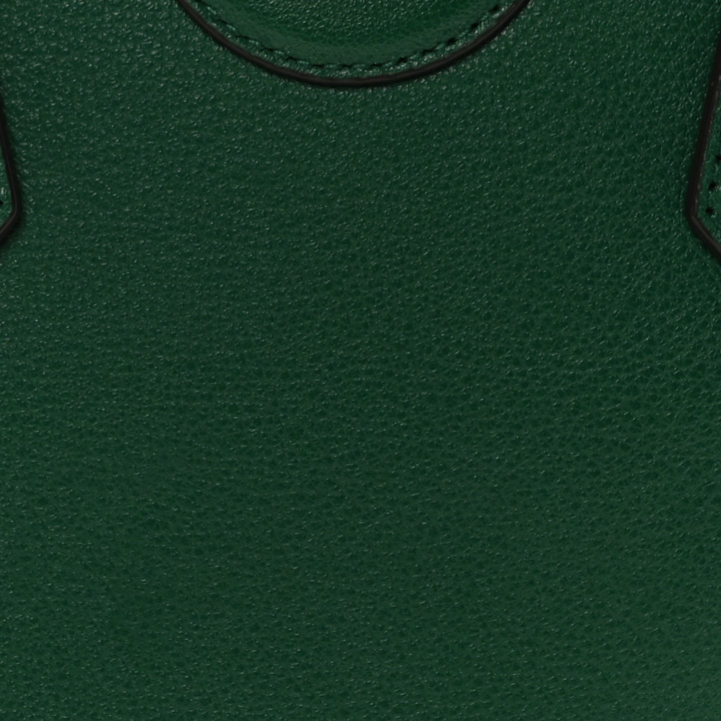 Wonka Grain Calfskin Small Diana Tote Bag Green Yellow Fluo