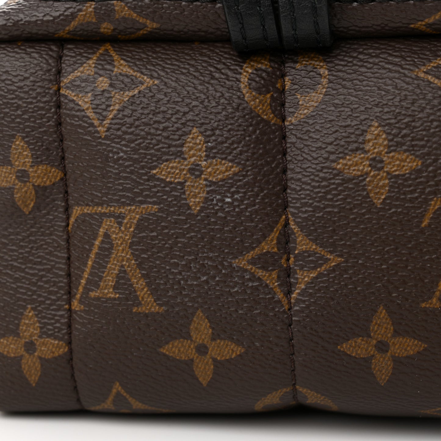 Monogram Palm Springs Backpack Mini