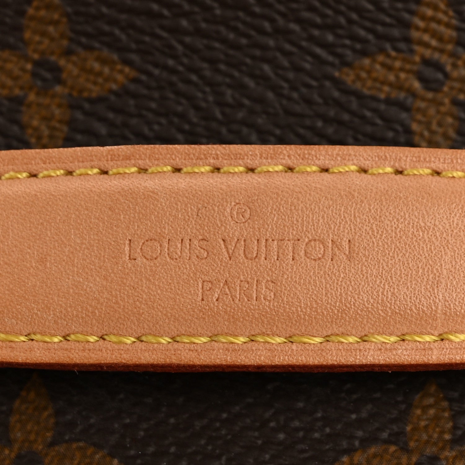 Louis Vuitton Monogram Nice Mini 8 of 9