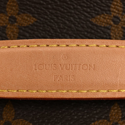 Louis Vuitton Monogram Nice Mini 8 of 9