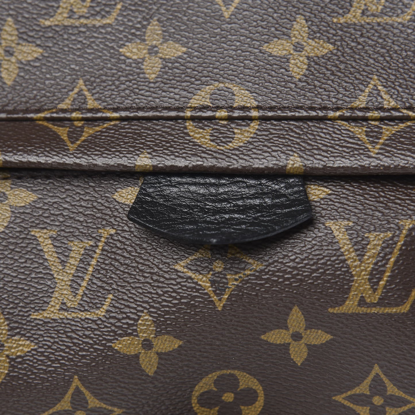 Monogram Palm Springs Backpack MM