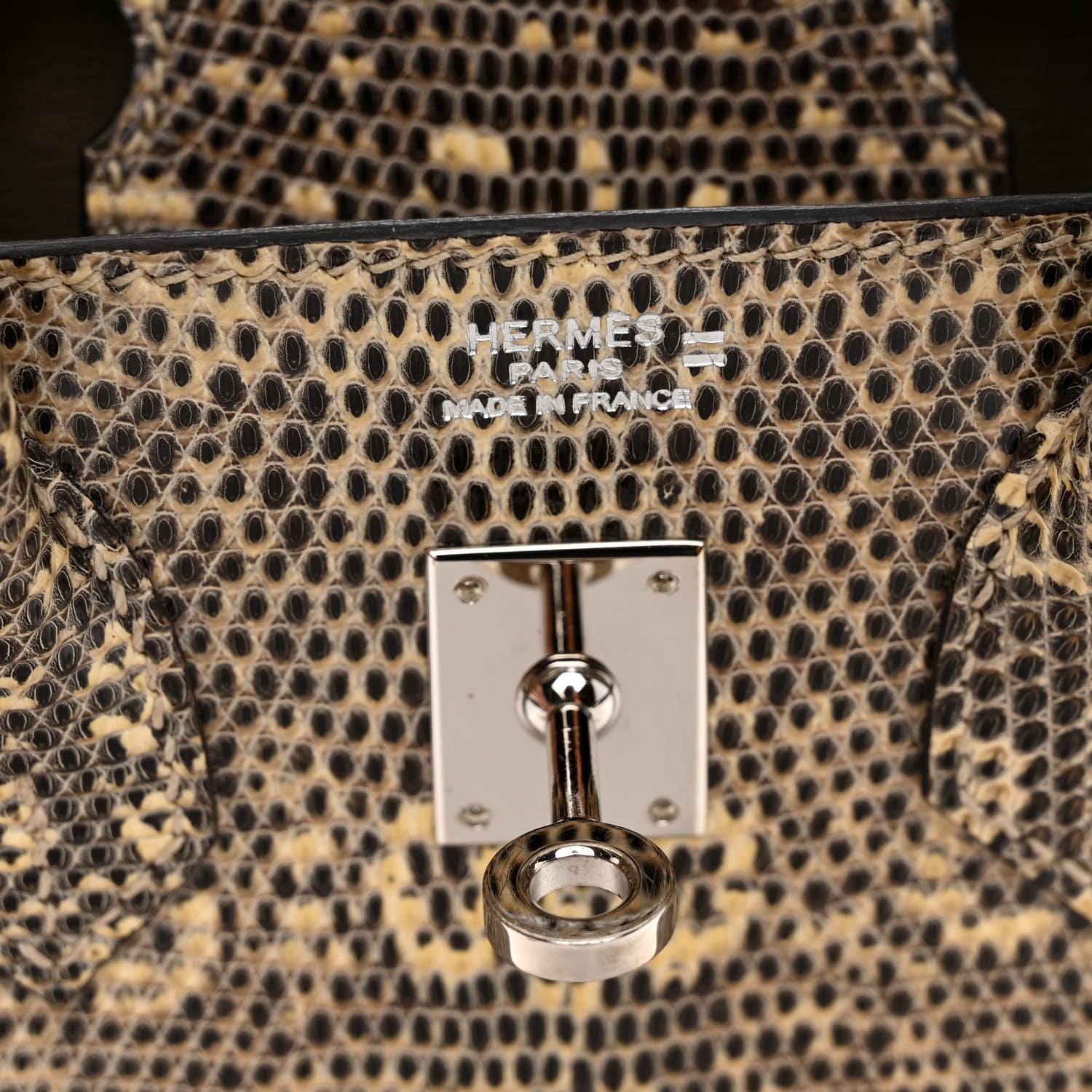 Hermes Lizard Birkin 25 Ombre 6 of 11