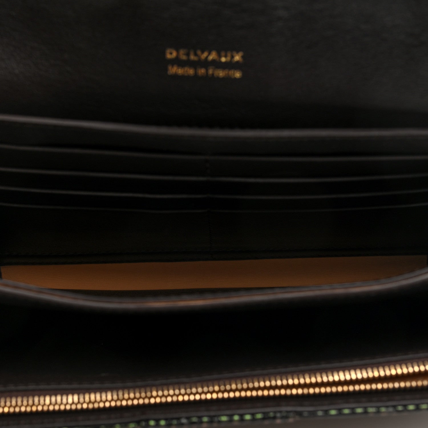 Delvaux Iridescent Lizard Calfskin Brillant Wallet On Chain Ebene Kaki 5 of 9