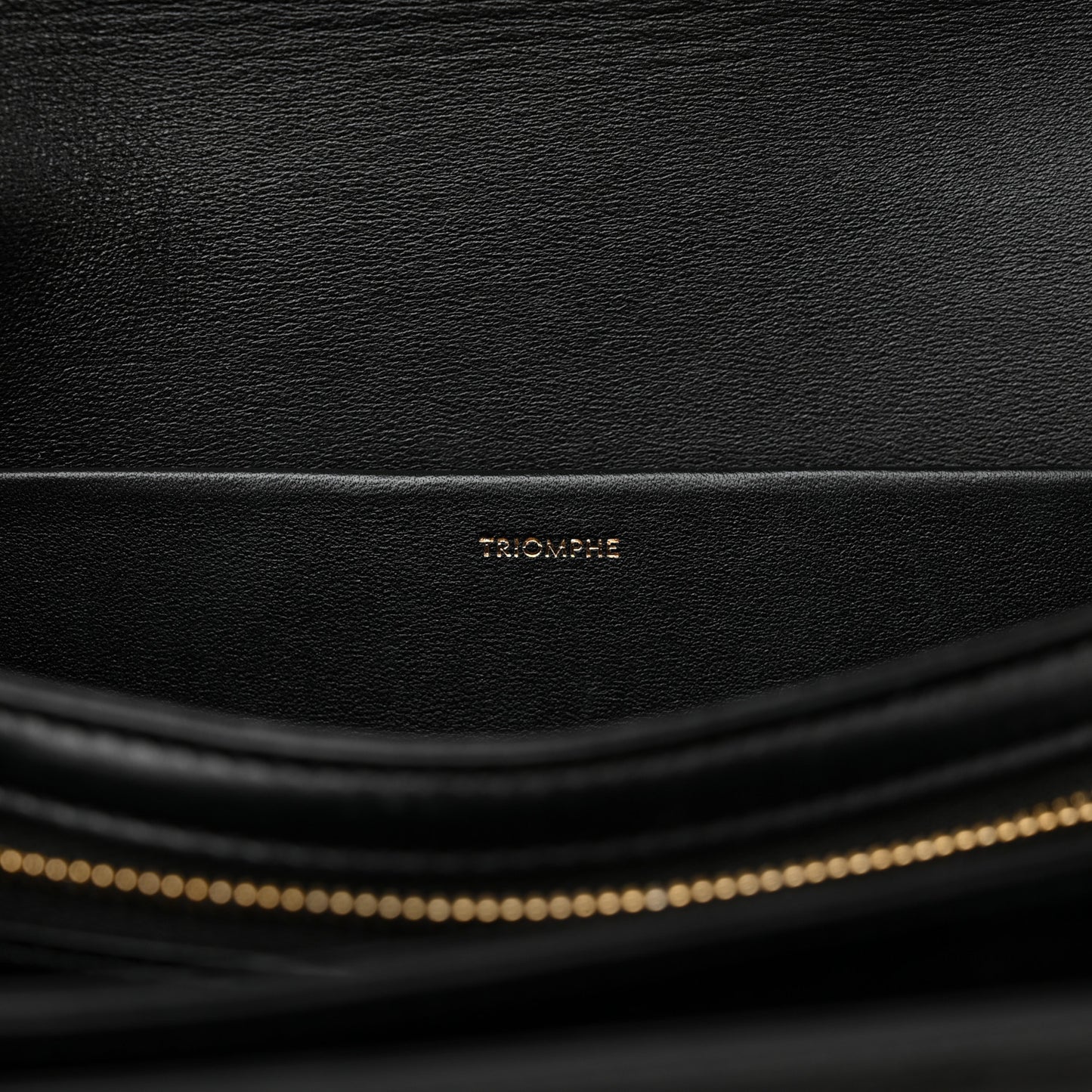 Shiny Calfskin Medium Triomphe Black