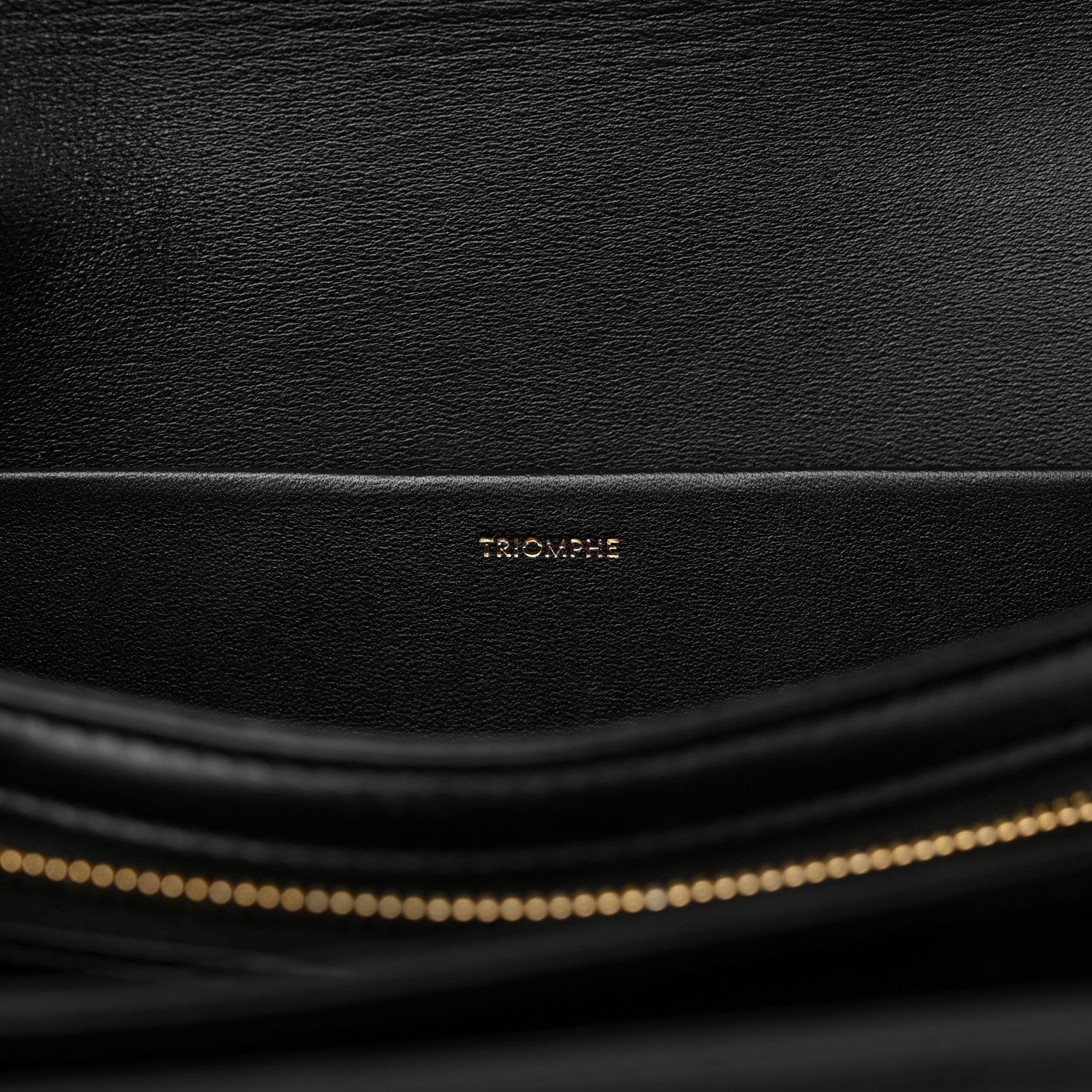 Celine Shiny Calfskin Medium Triomphe Black 7 of 17
