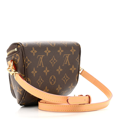Louis Vuitton Monogram Mini Bumbag 3 of 10