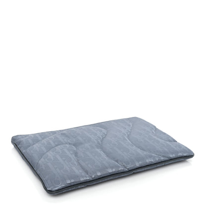 Christian Dior X ERL Technical Fabric Oblique Pouch Light Blue 4 of 9