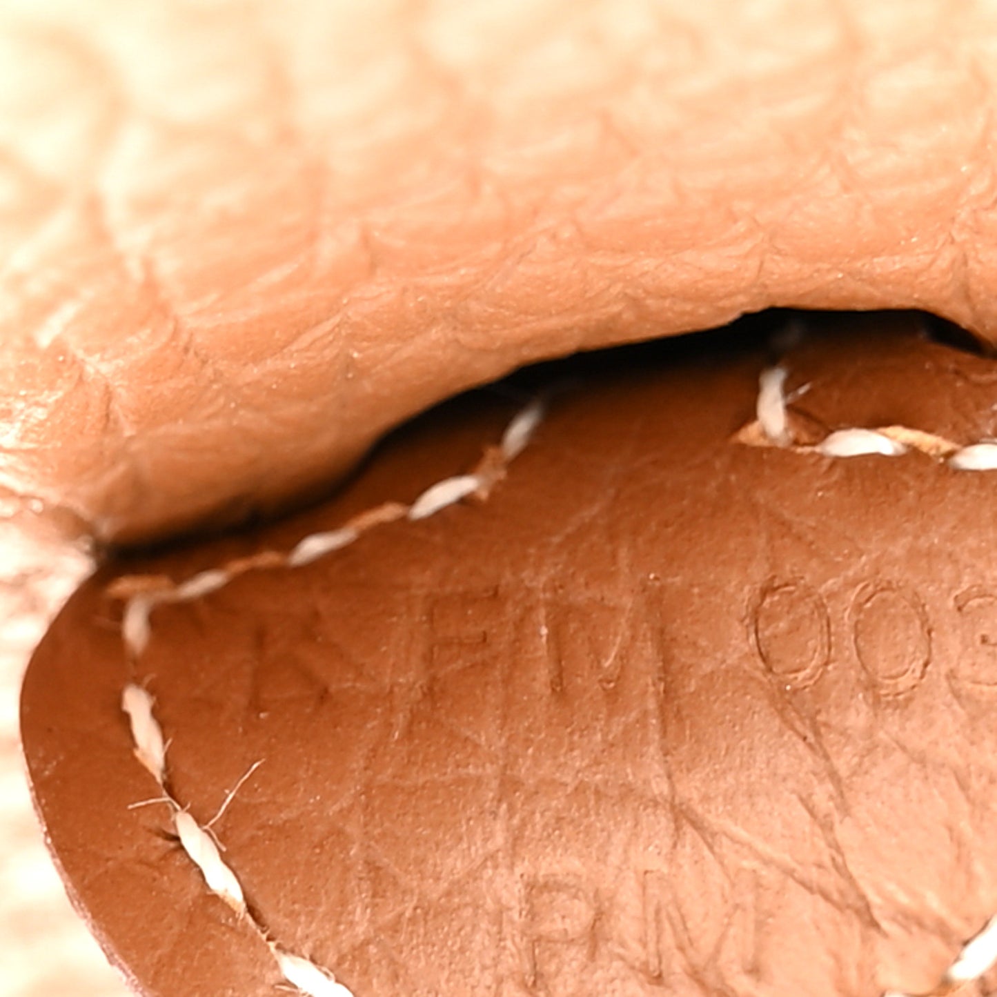 Taurillon Maurice Amazone Evelyne TPM Gold White