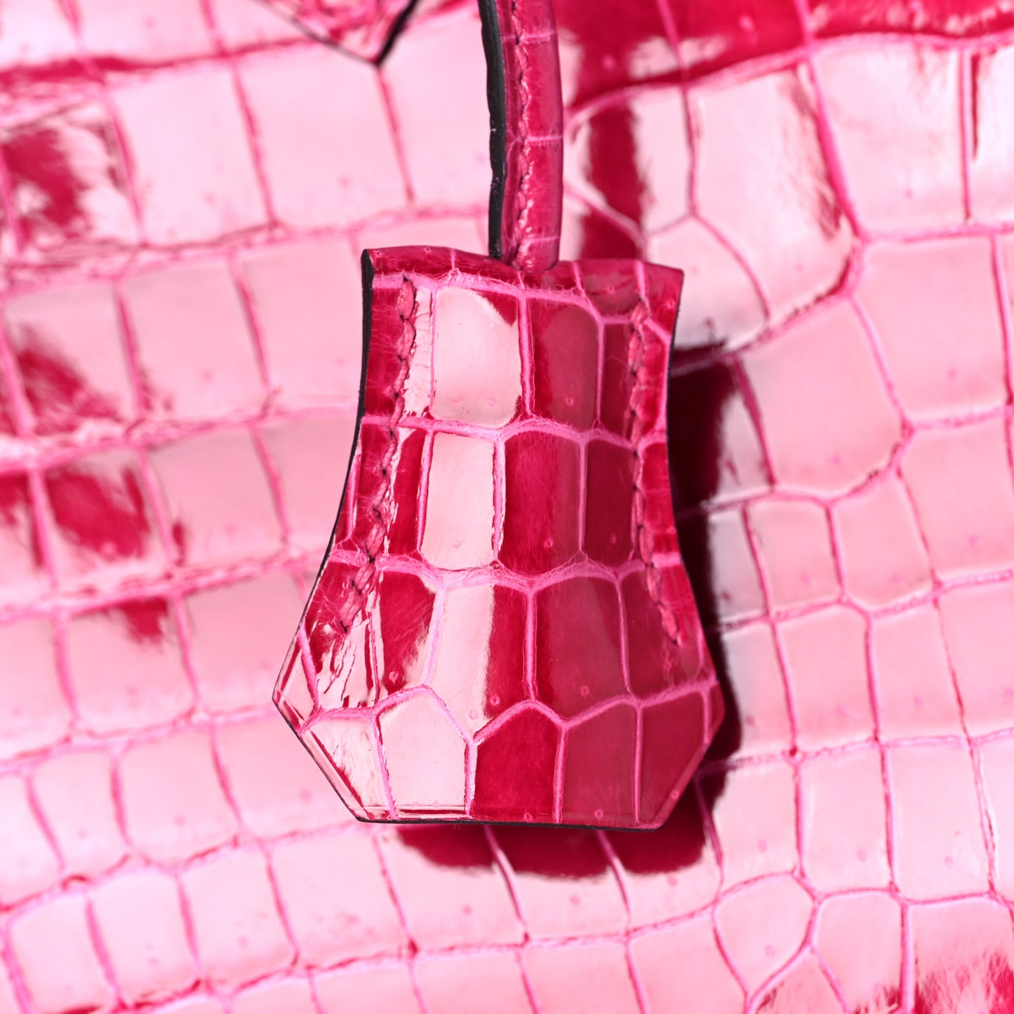 Shiny Porosus Crocodile Birkin 25 Rose Mexico