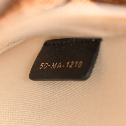 Christian Dior Canvas Embroidered Hibiscus Printed Medium Lady D-Lite Beige Multicolor 7 of 13