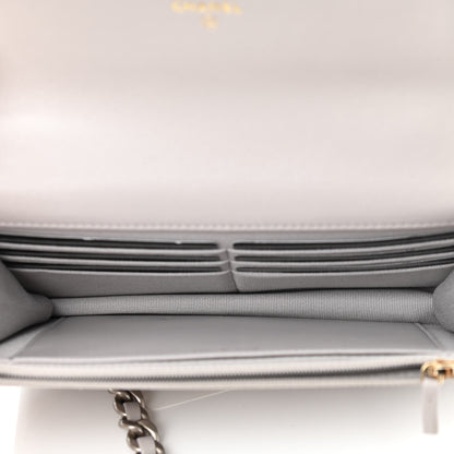 Chanel Lambskin Quilted Chanel 19 Wallet On Chain WOC Grey 5 of 13