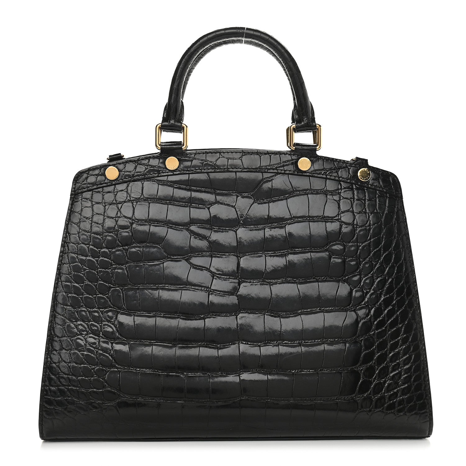 Louis Vuitton Crocodile Brea PM Black 1 of 8