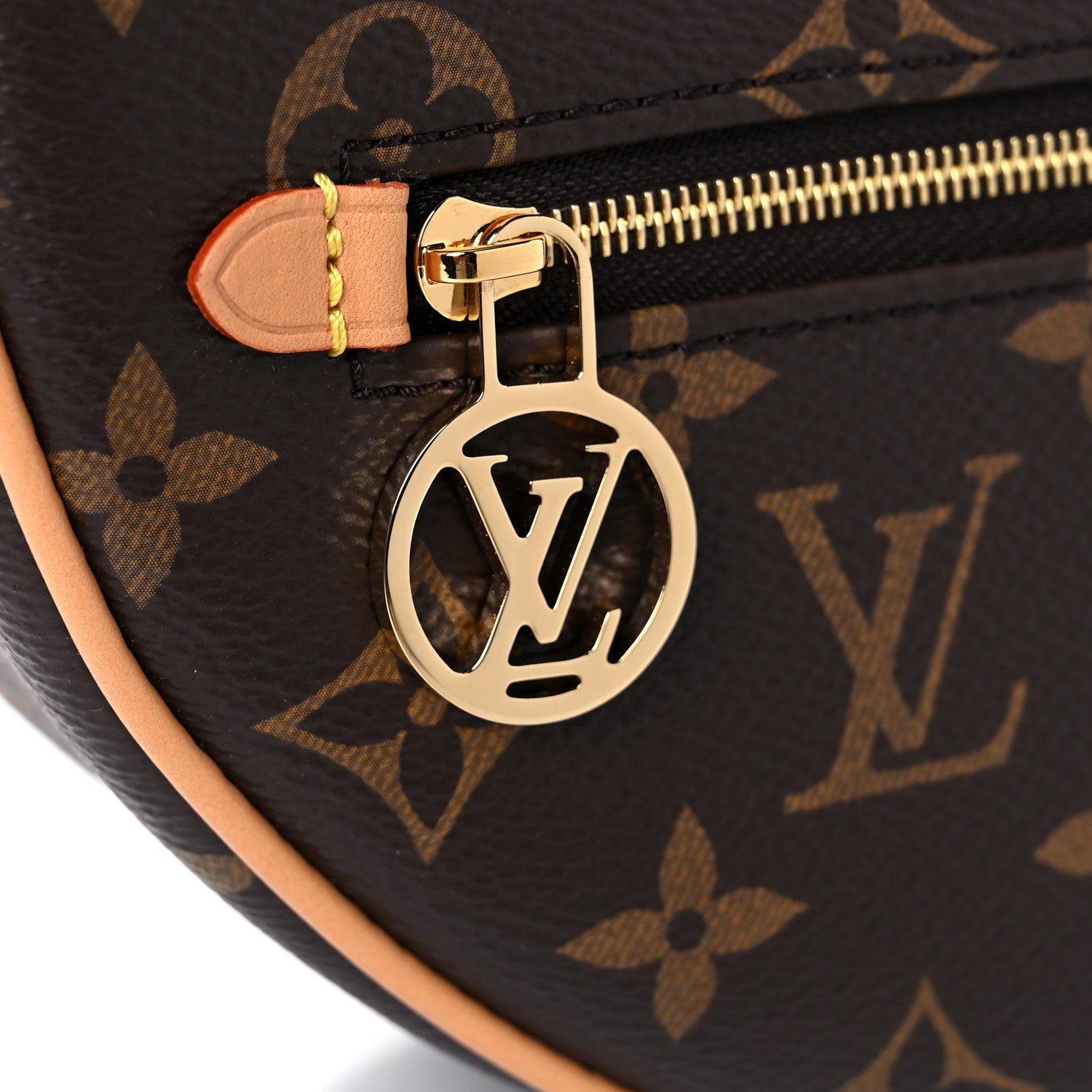 Louis Vuitton Monogram Loop 10 of 10