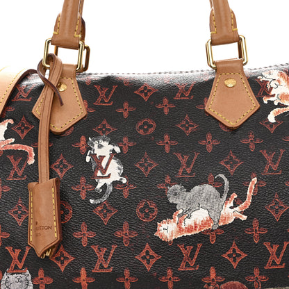 Louis Vuitton Catogram Speedy Bandouliere 30 Marron 9 of 14