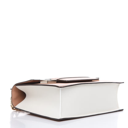 Delvaux Supple Calfskin Madame PM Chaine Bag Vison Ivory 4 of 9