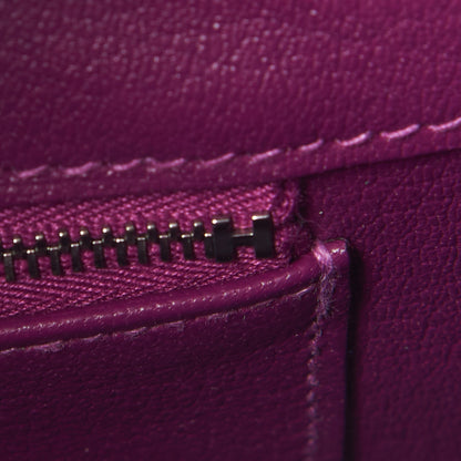 Hermes Epsom Birkin 30 Anemone 30 of 44