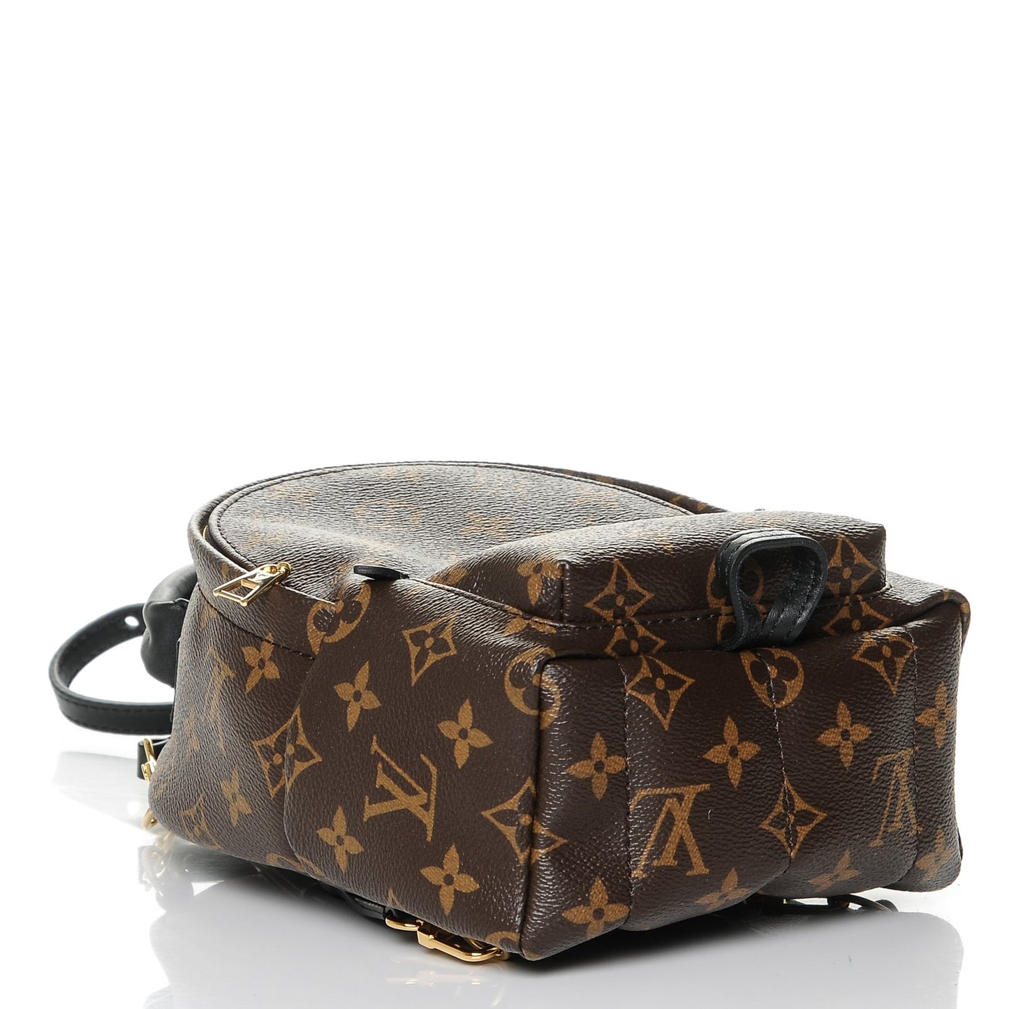 Monogram Palm Springs Backpack Mini