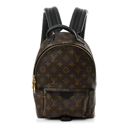 Louis Vuitton Monogram Palm Springs Backpack PM 1 of 14