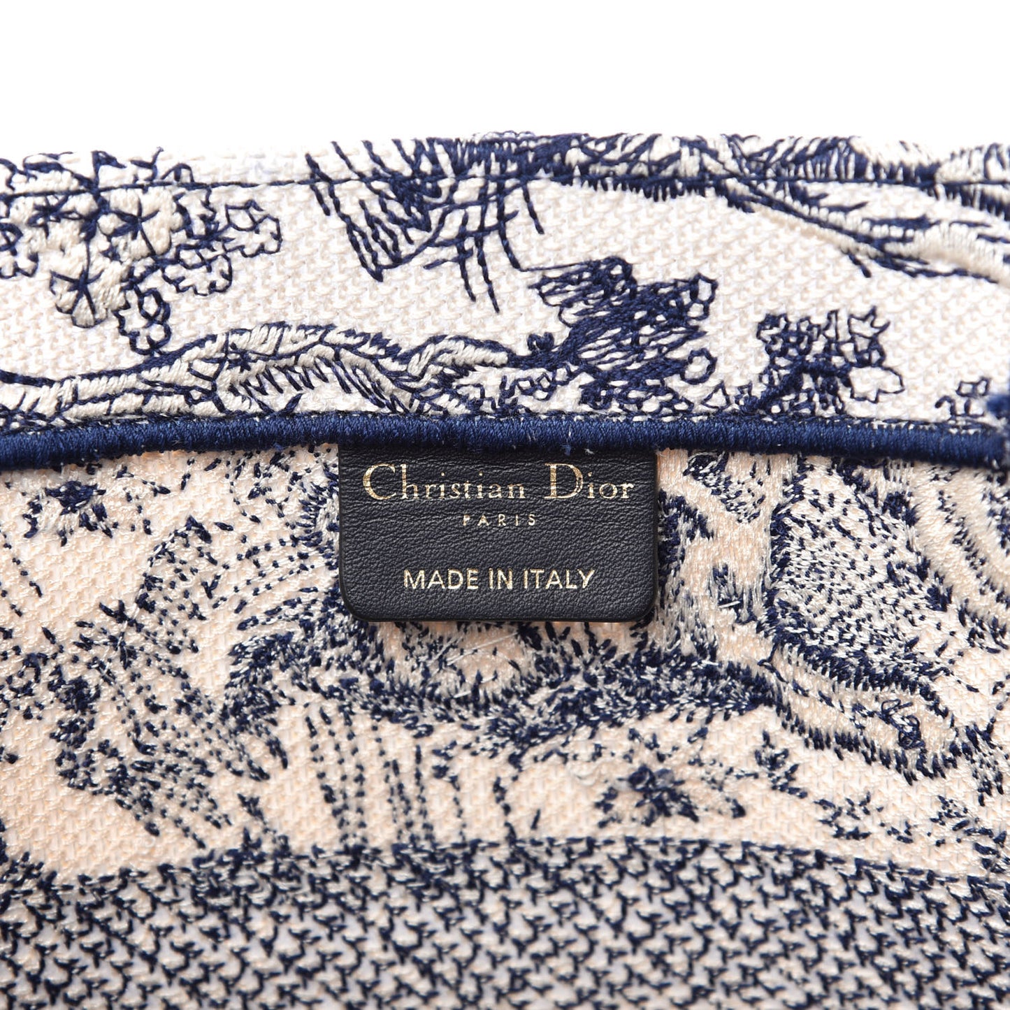 Canvas Embroidered Medium Dioriviera Toile De Jouy Book Tote Blue