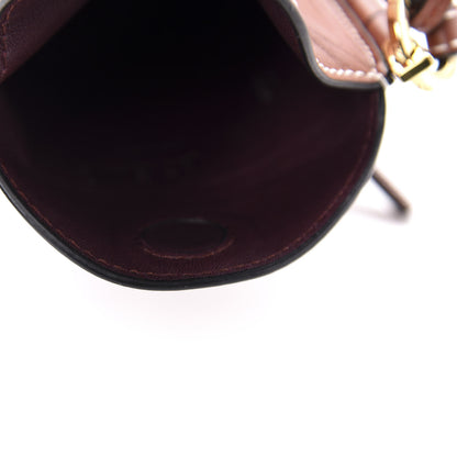 Loewe Smooth Calfskin Gate Pocket Rust 5 of 11