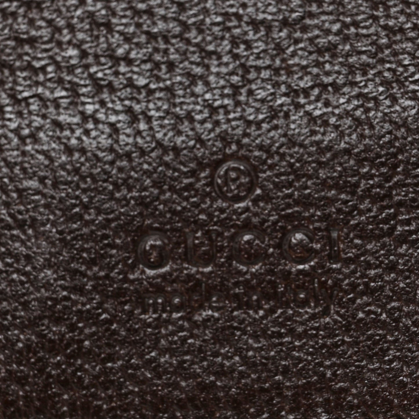 Monogram Web Belt Bag Dark Brown