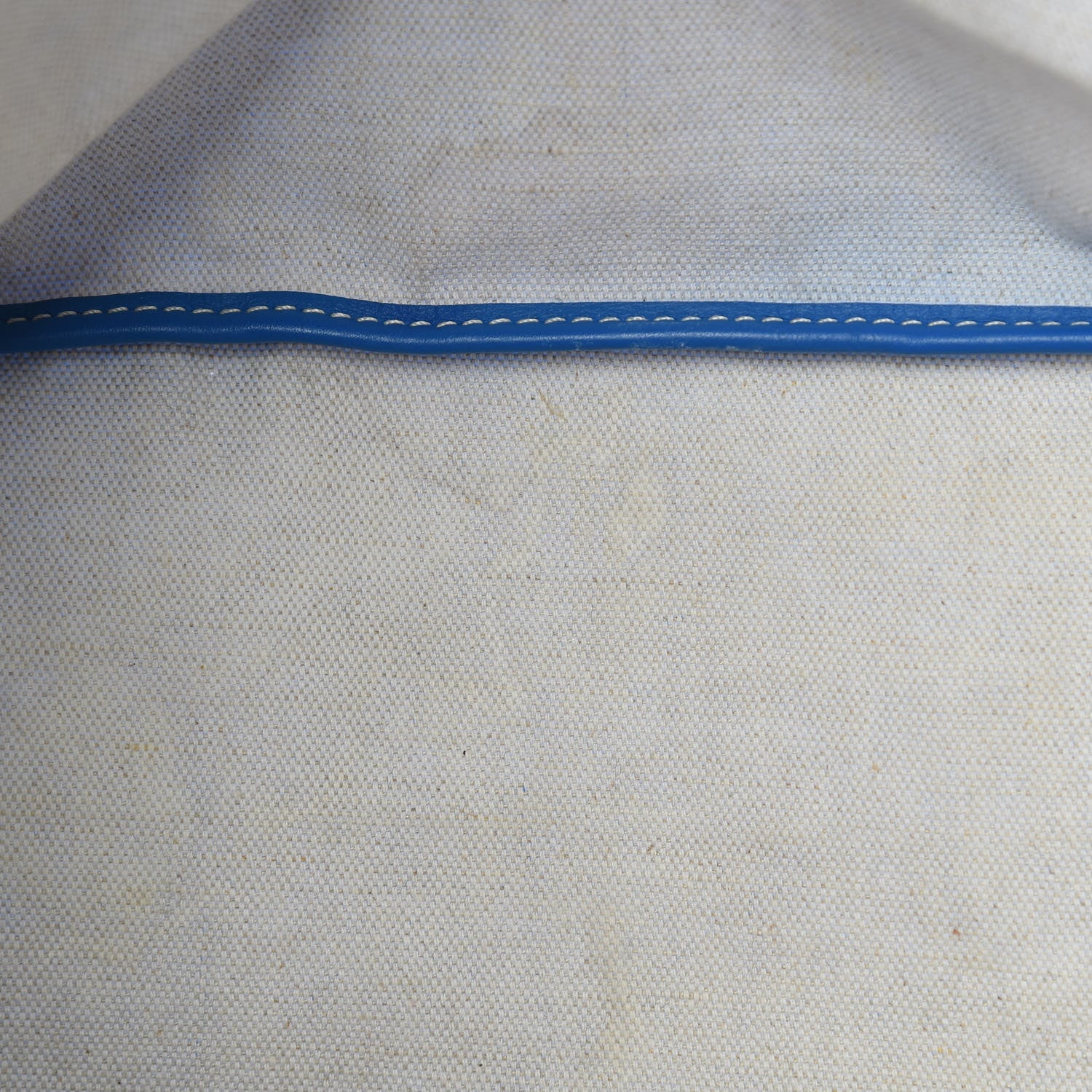 Goyard Goyardine Saint Louis PM Sky Blue 13 of 13