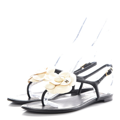 Chanel Lambskin Camellia Thong Sandals 36 Black White 3 of 16
