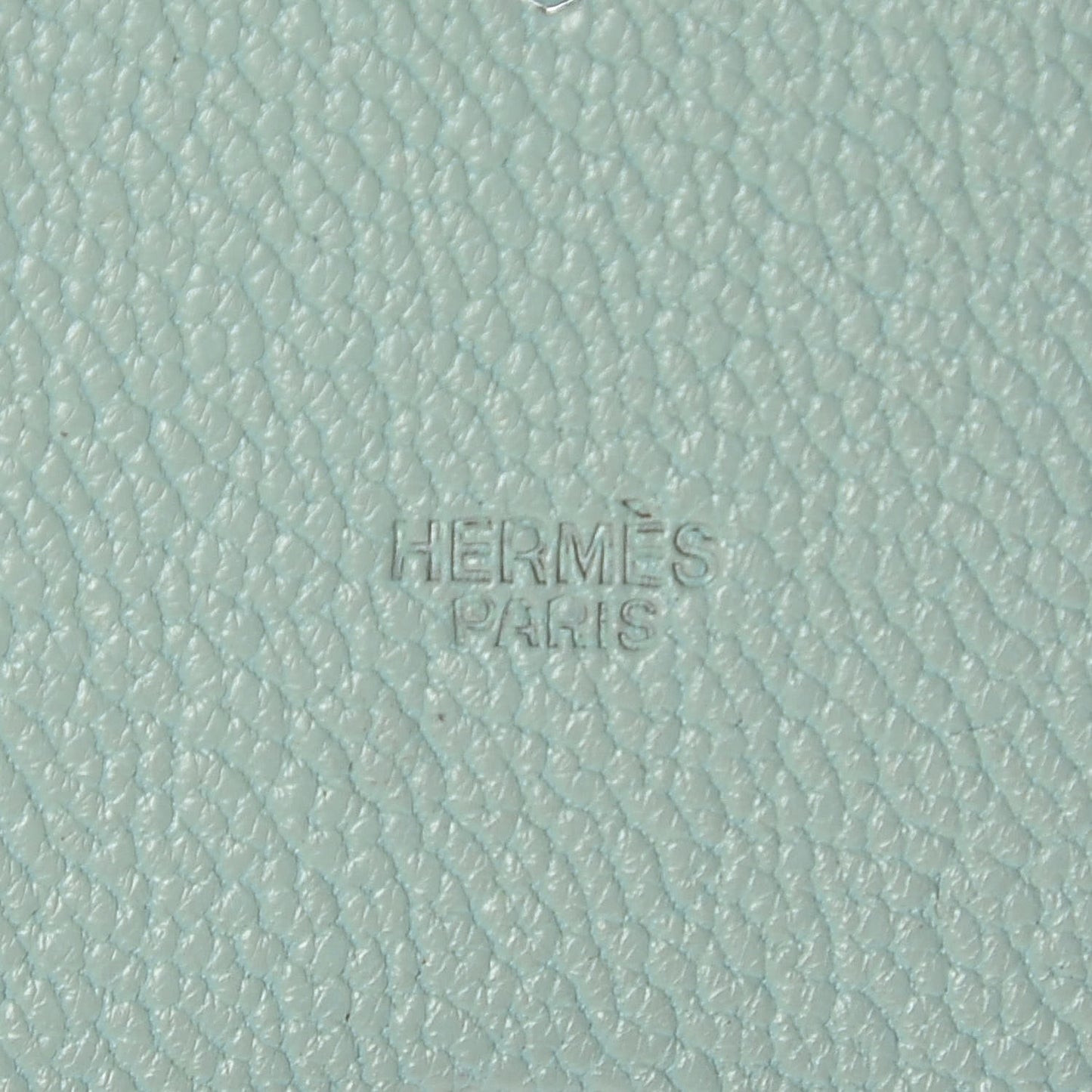 Chevre Seal Pikabook Bookmark Aqua