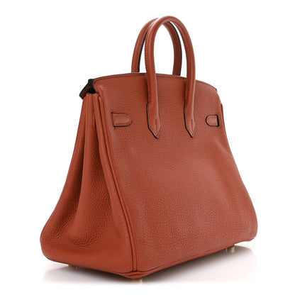 Hermes Togo Birkin 25 Terre Battue 3 of 11