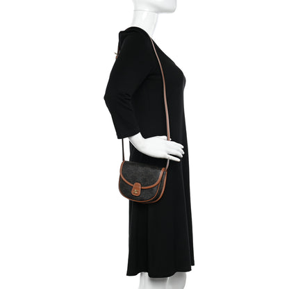 Celine Canvas Calfskin Triomphe Mini Besace Tan 2 of 11