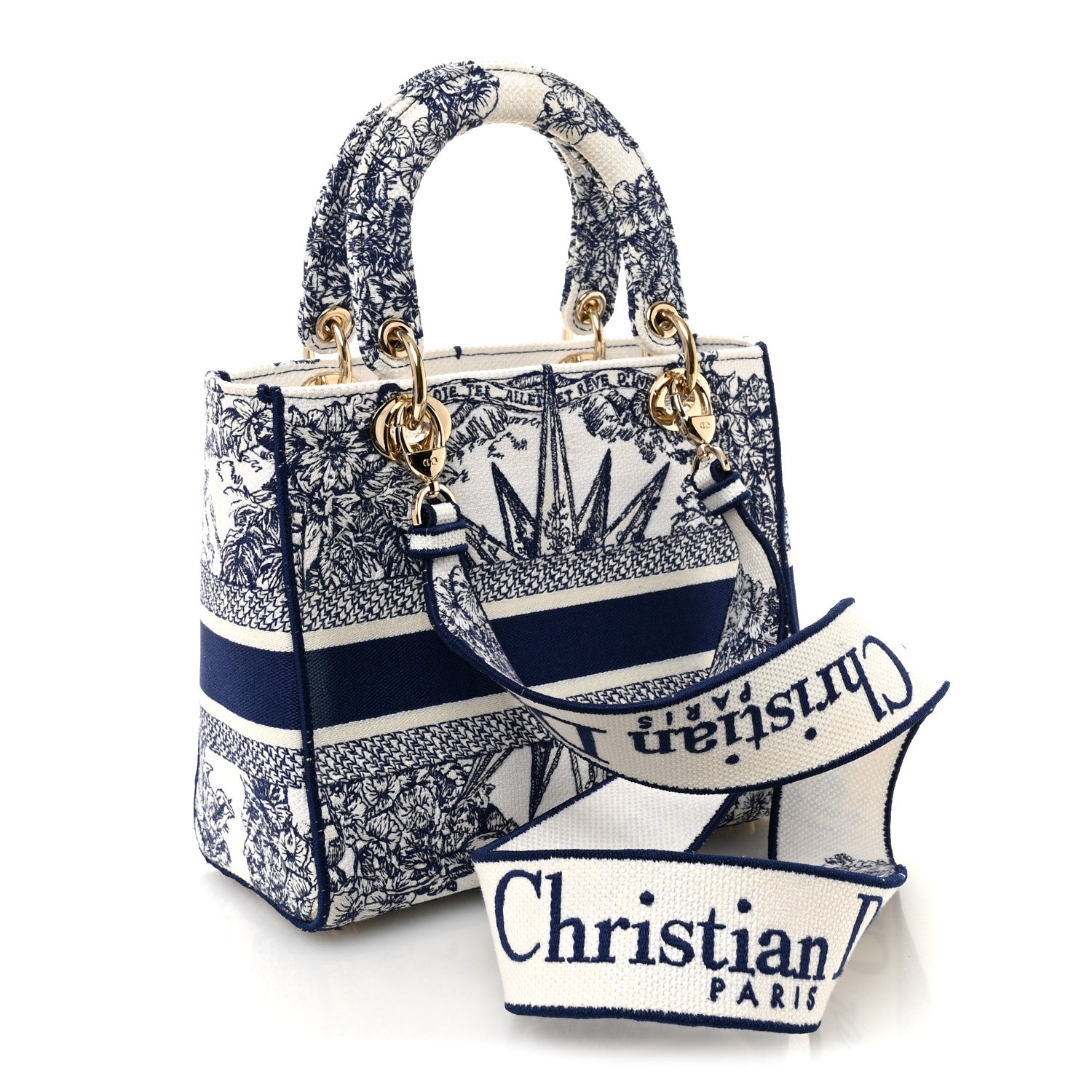 Christian Dior Canvas Reverse Embroidered Rêve d'Infini Medium