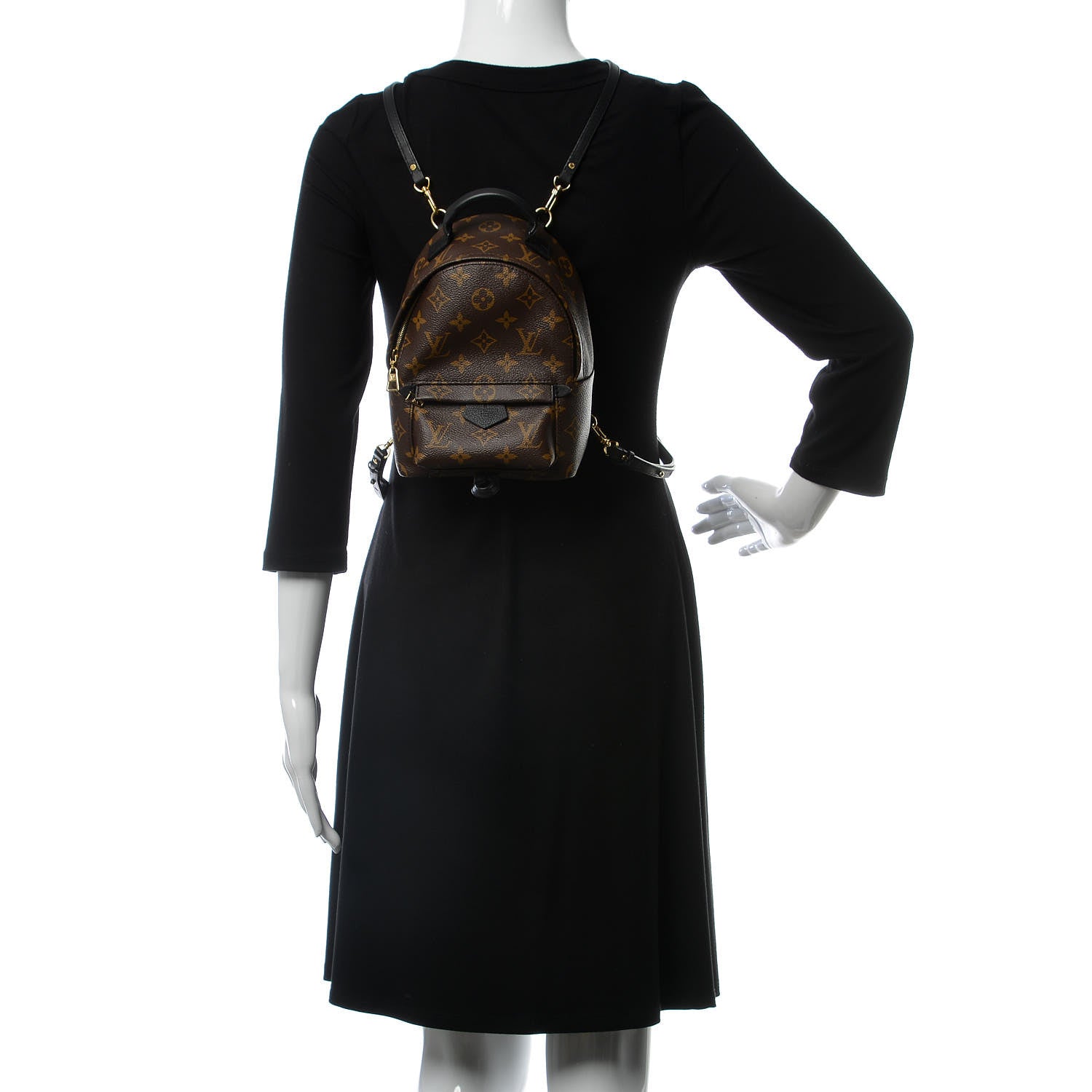 Louis Vuitton Monogram Palm Springs Backpack Mini 2 of 7