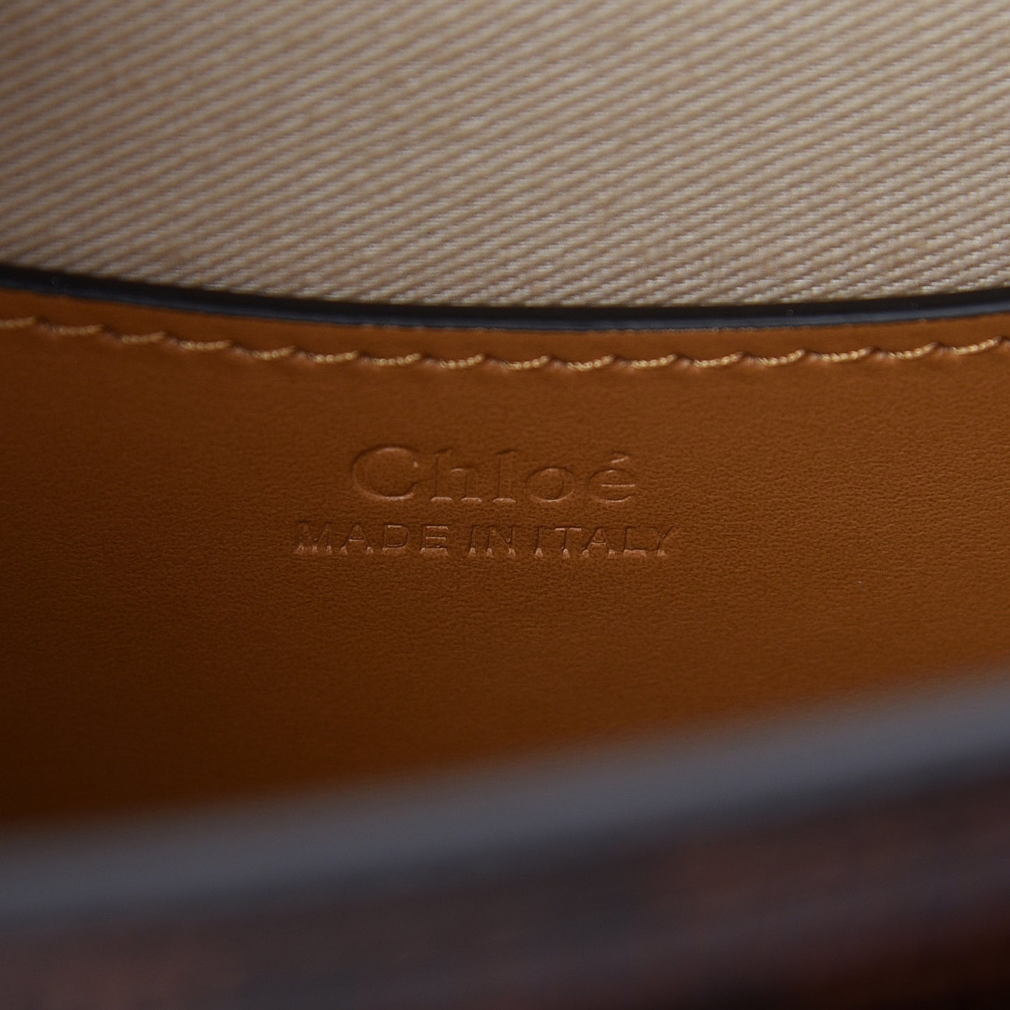 Calfskin Lizard Embossed Small Tess Bag Sepia Brown