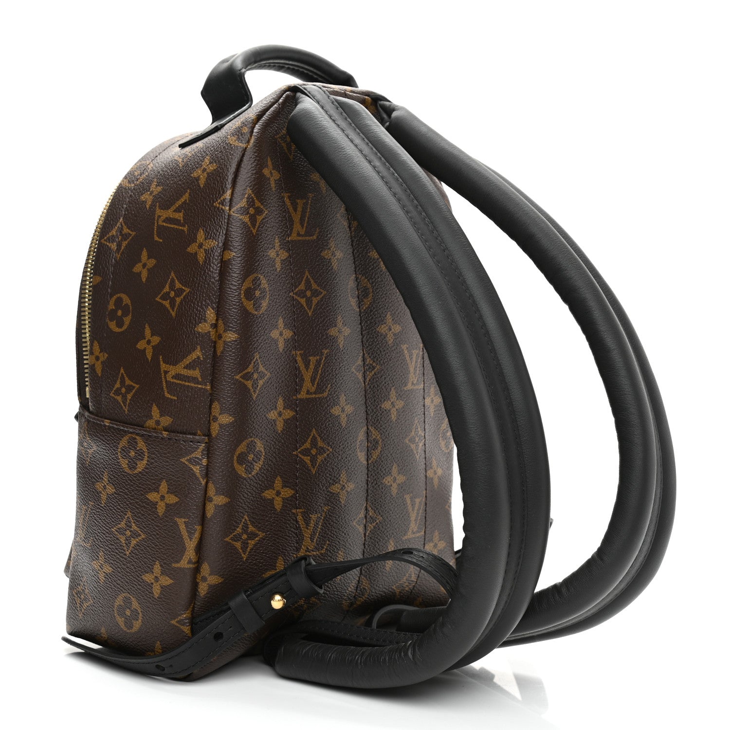 Louis Vuitton Monogram Palm Springs Backpack PM 3 of 8