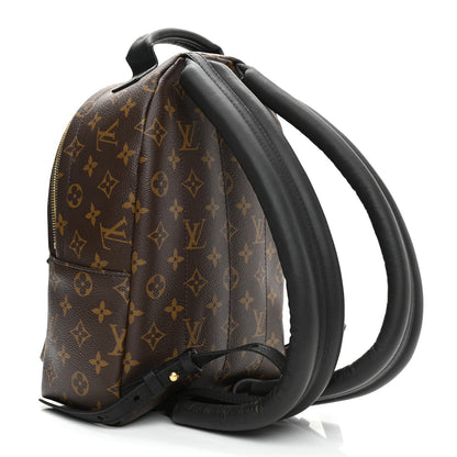 Louis Vuitton Monogram Palm Springs Backpack PM 3 of 8