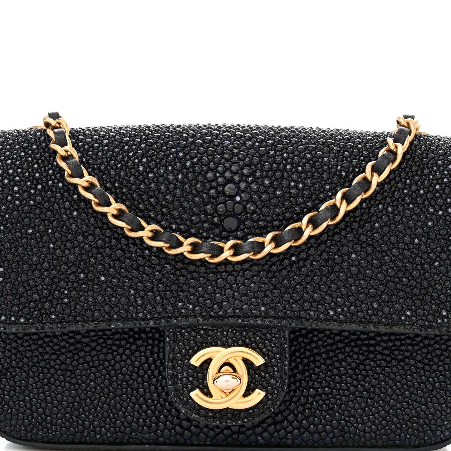 Galuchat Stingray Mini Flap Black