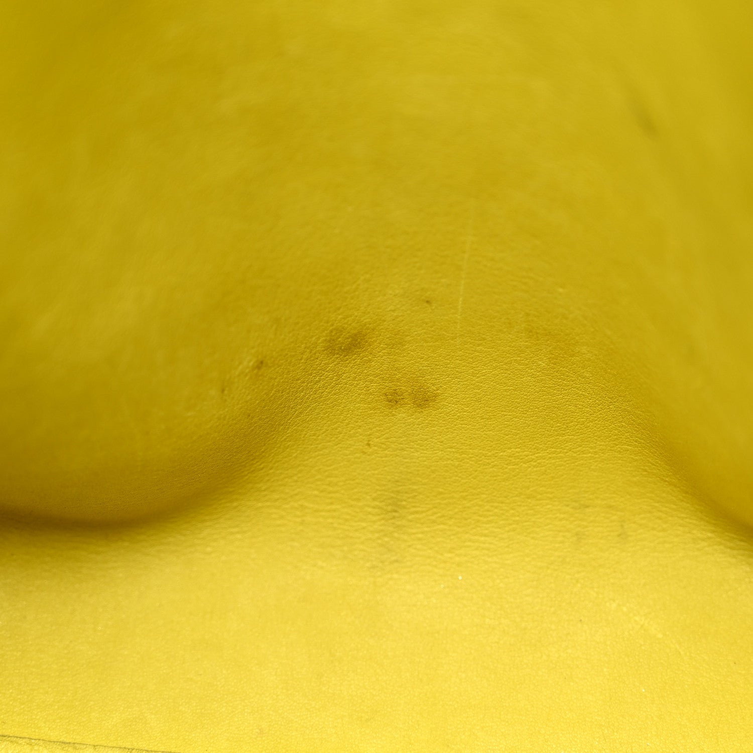 Loewe Suede Calfskin Amazona Yellow Black 11 of 11