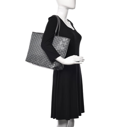 Goyard Goyardine Saint Louis PM Grey 2 of 10