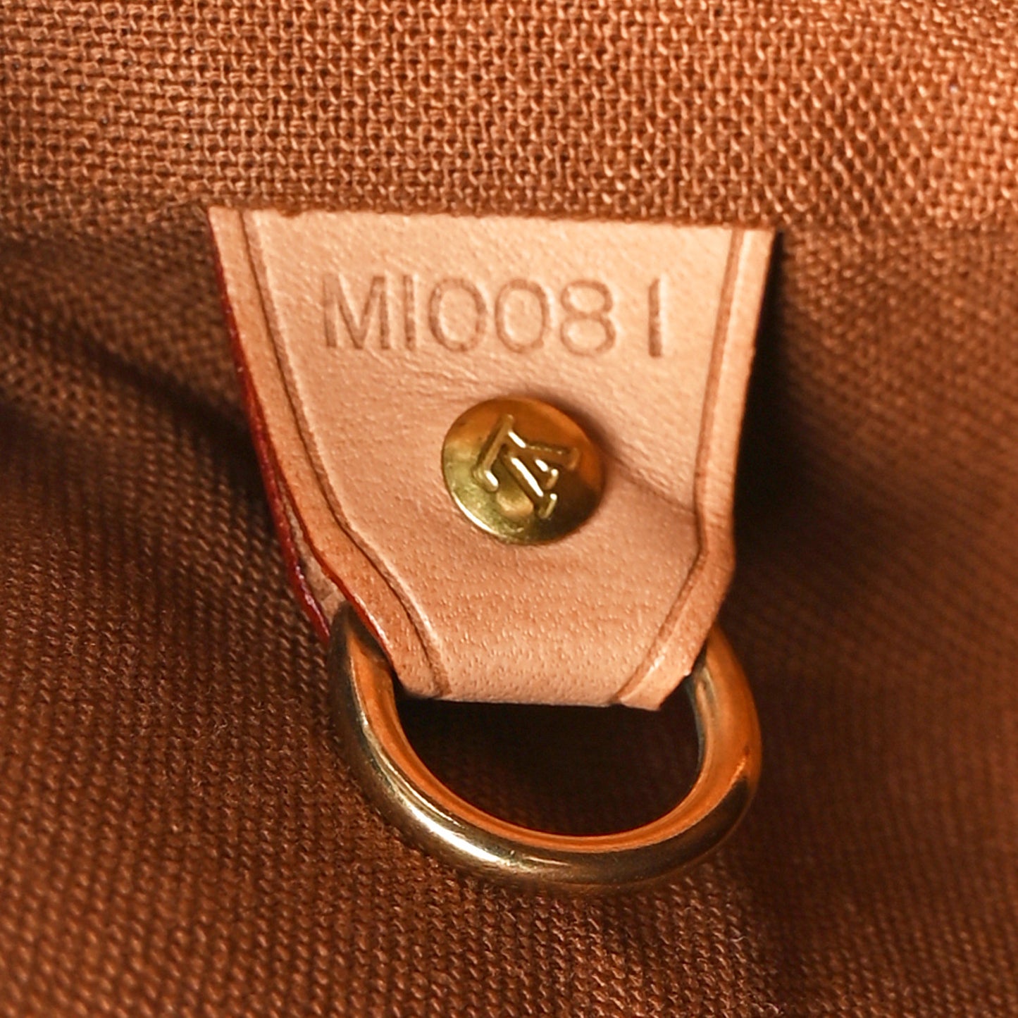 Monogram Montsouris GM Backpack