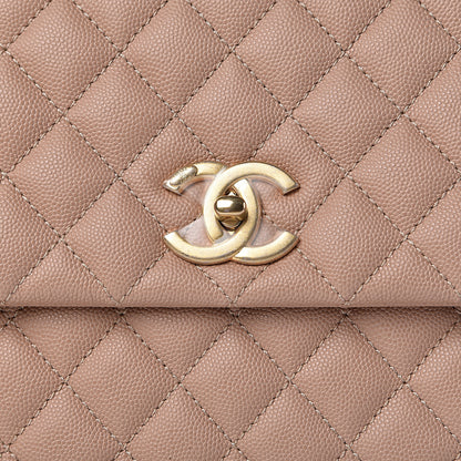 Chanel Caviar Lizard Quilted Medium Coco Handle Flap Light Beige 12 of 13