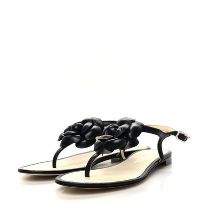Chanel Lambskin Camellia Thong Sandals 35.5 Black 3 of 8