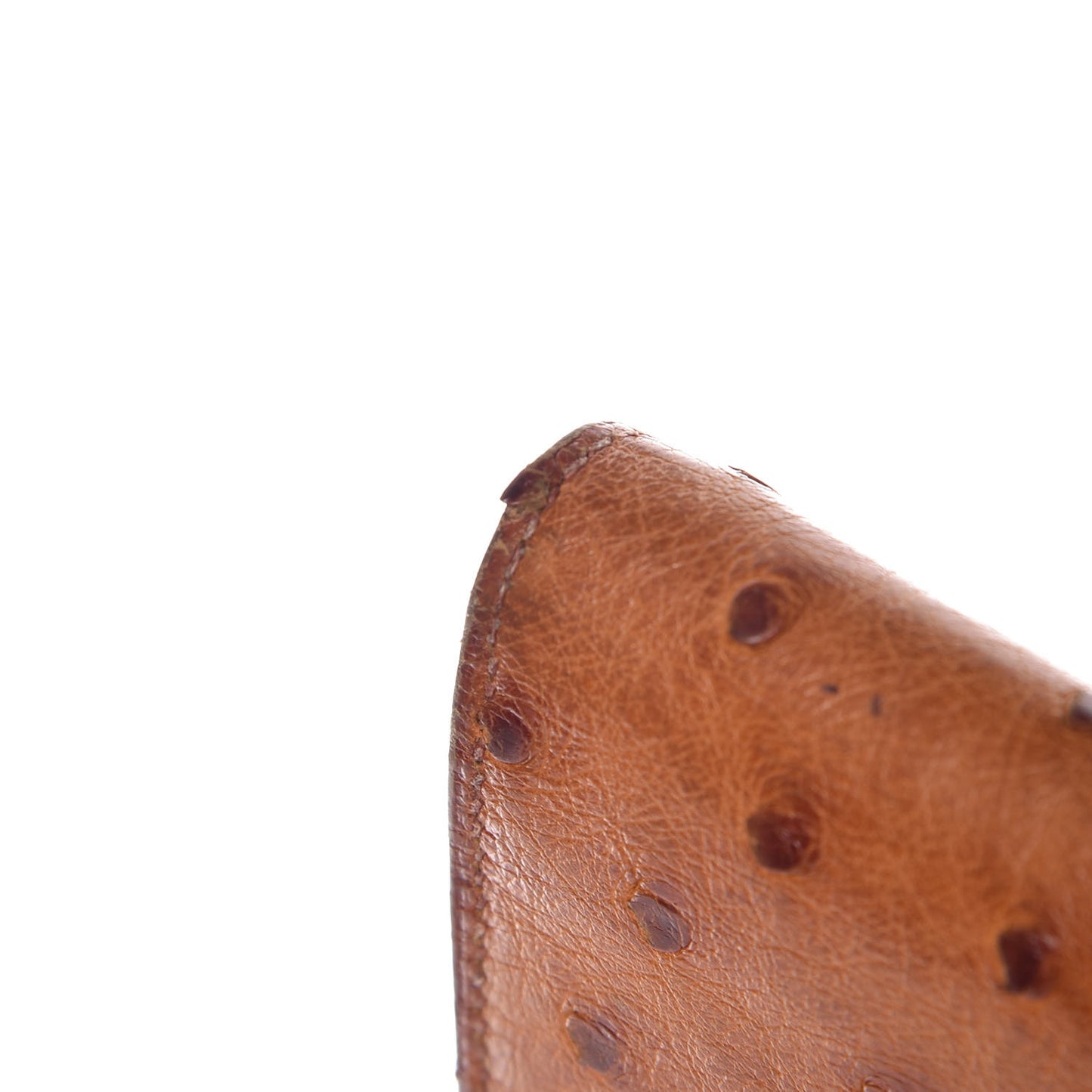 Ostrich Bearn Wallet Gold