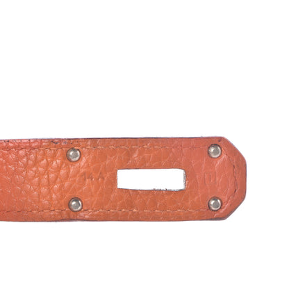 Hermes Taurillon Clemence JPG Birkin 42 Potiron 24 of 32