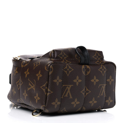 Louis Vuitton Monogram Palm Springs Backpack Mini 3 of 4