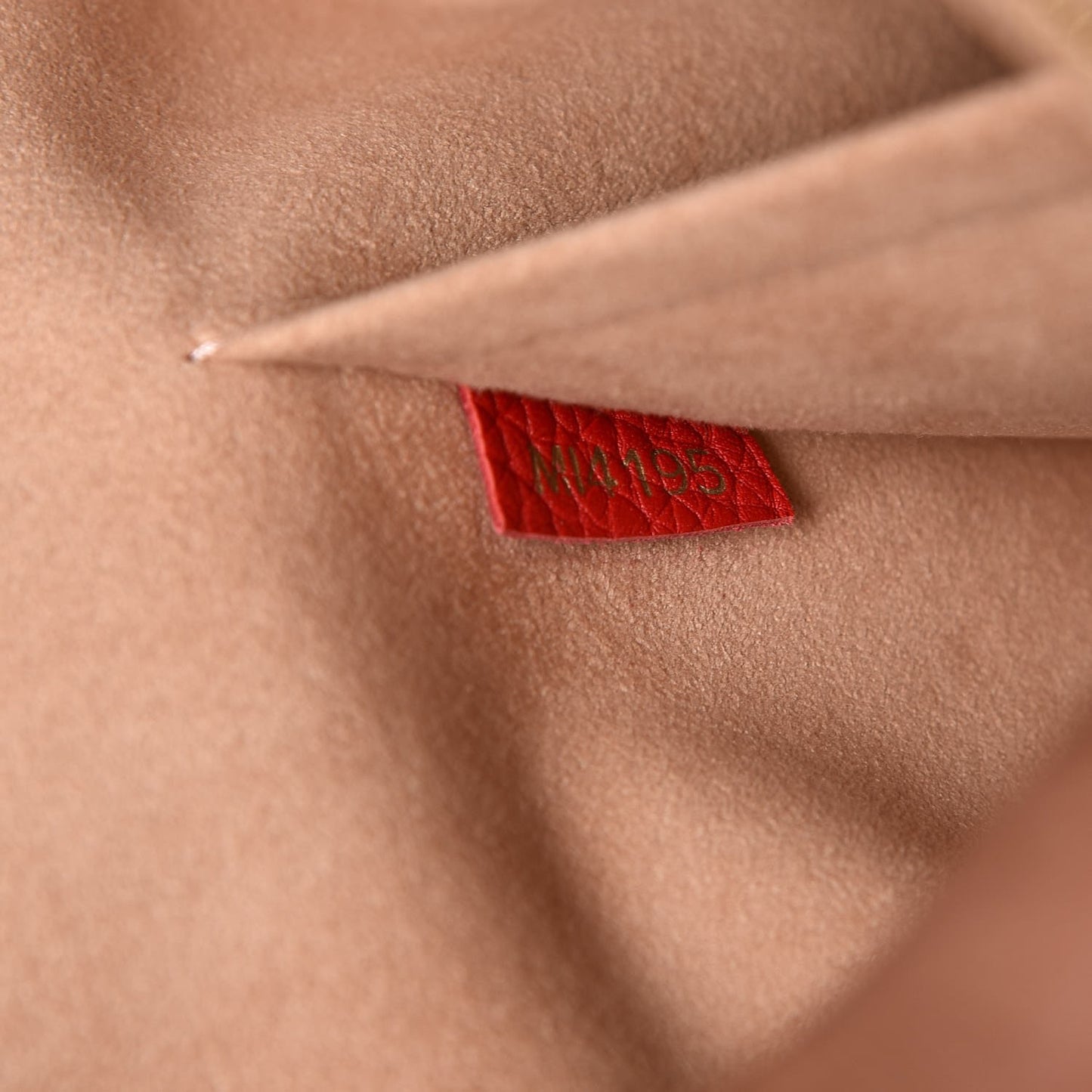 Taurillon Volta Coquelicot